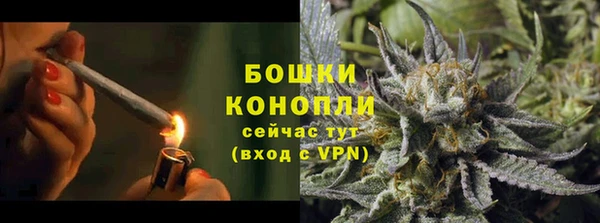 скорость Гусев