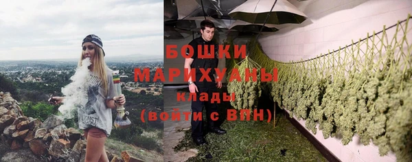 скорость Гусев