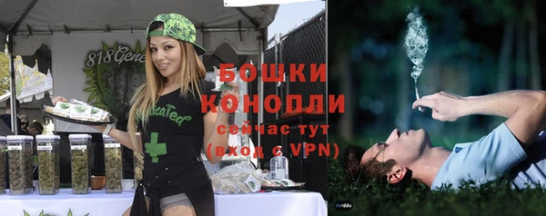 скорость Гусев