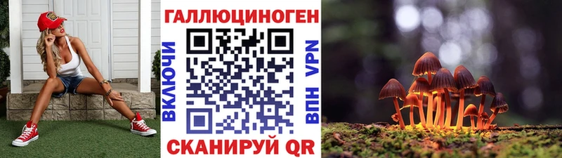 Купить  Кола  Псилоцибиновые грибы прущие грибы 